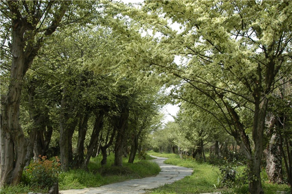 我市一企業(yè)連續(xù)23年獲評(píng)農(nóng)業(yè)產(chǎn)業(yè)化國(guó)家重點(diǎn)龍頭企業(yè) 將投資14億元打造綠色循環(huán)現(xiàn)代化農(nóng)業(yè)產(chǎn)業(yè)園