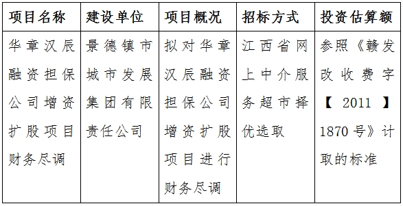 華章漢辰融資擔(dān)保公司增資擴股項目財務(wù)盡調(diào)計劃公告