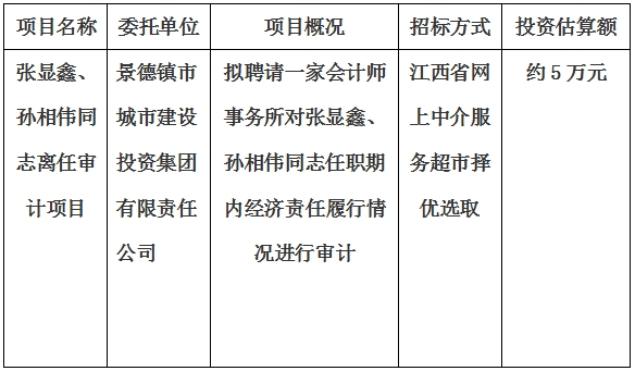 張顯鑫、孫相偉同志離任審計項目計劃公告