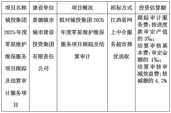城投集團(tuán)2025年度零星維護(hù)維保服務(wù)項(xiàng)目跟蹤及結(jié)算審計(jì)服務(wù)項(xiàng)目計(jì)劃公告
